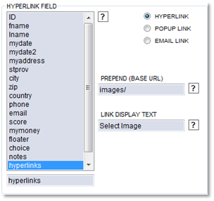 hyperlink-field.png